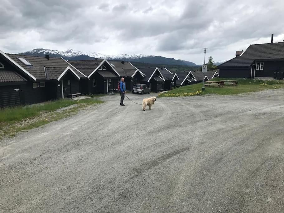 Voss - Flott Hytte I Bavallen Skulestadmo Buitenkant foto